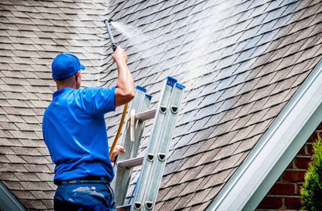 toledo roof cleaning